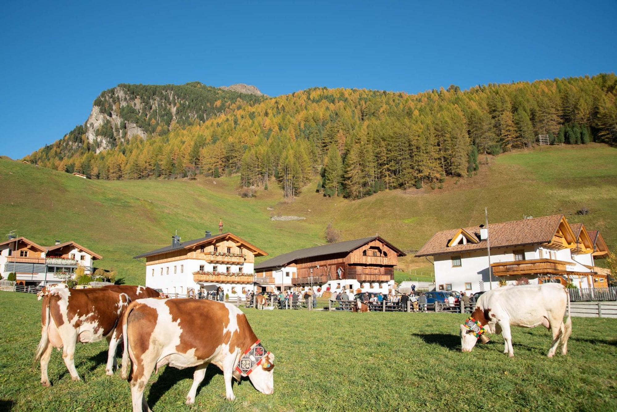 Mooserhof カンポ・トゥーレス エクステリア 写真